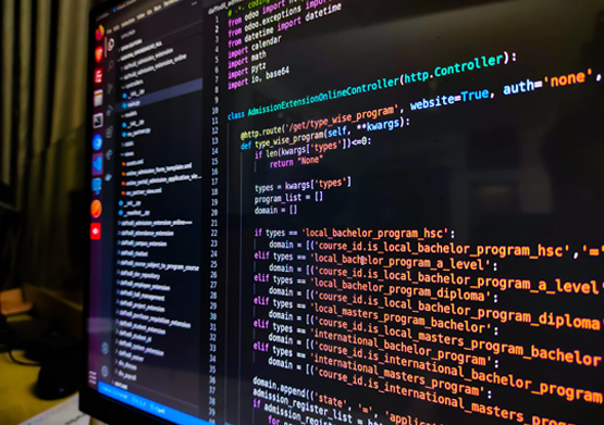 Web Design Services: